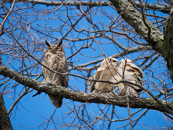 Two of the three siblings