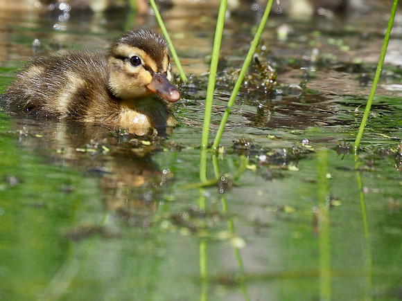 So small!